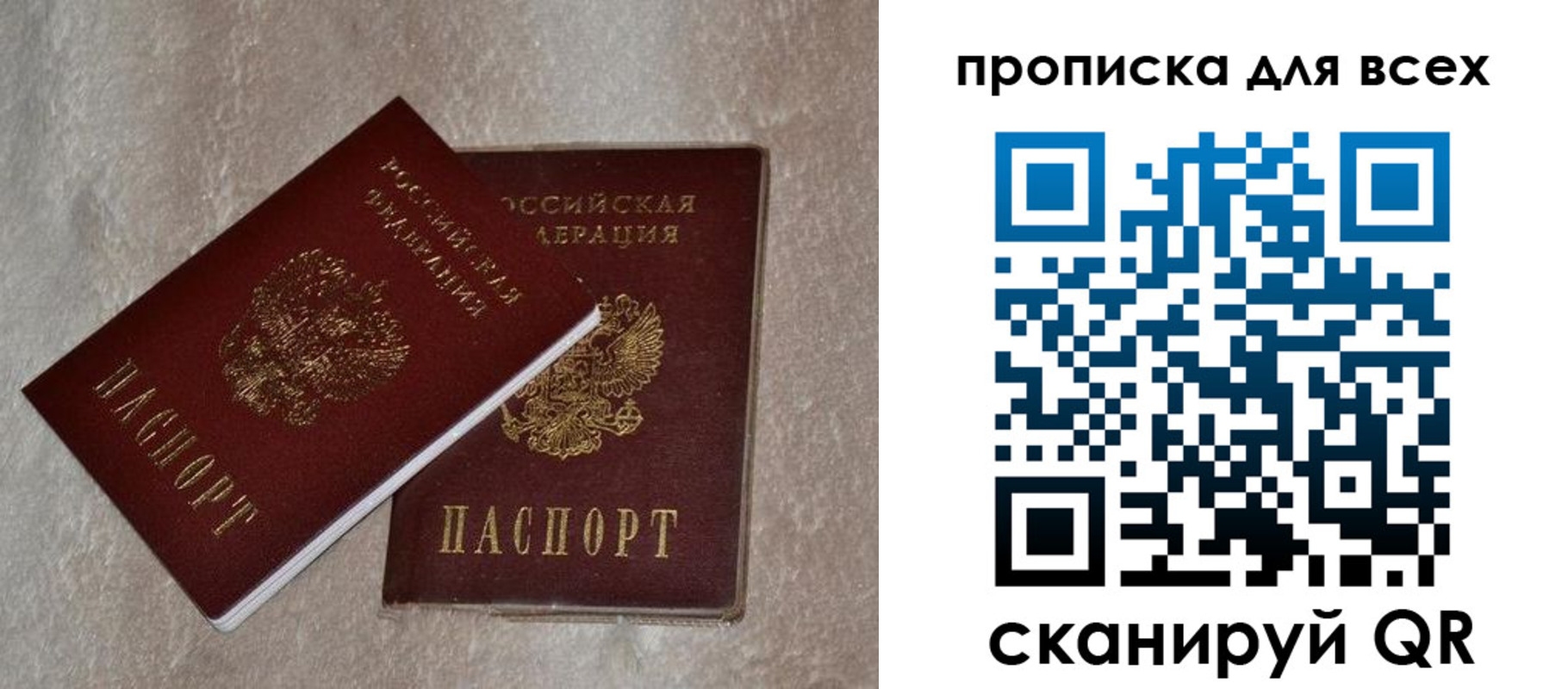 прописка в квартире в Фрязино
